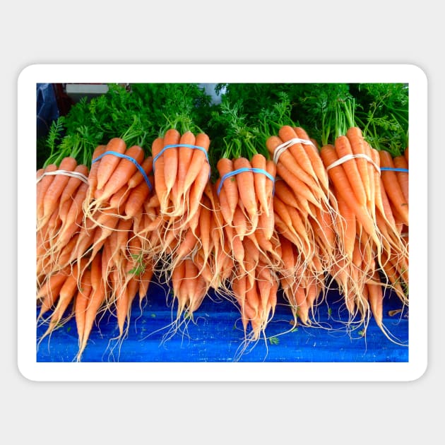 Bunches of Carrots in Santa Barbara Sticker by ephotocard